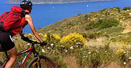 escursioni in bici isola d'elba
